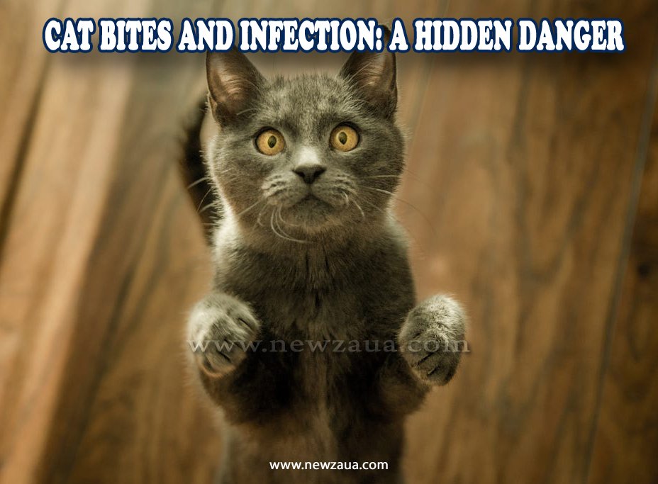 Cat Bites and Infection: A Hidden Danger