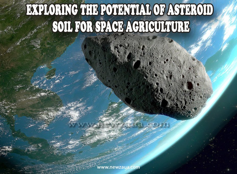 Exploring the Potential of Asteroid Soil for Space Agriculture