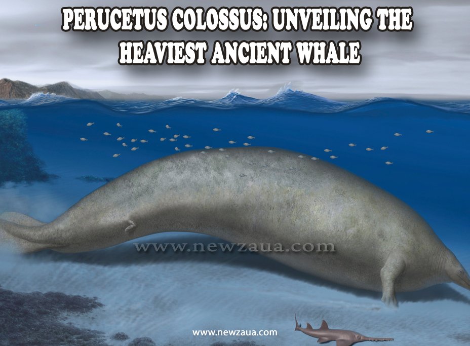 Perucetus Colossus: Unveiling the Heaviest Ancient Whale