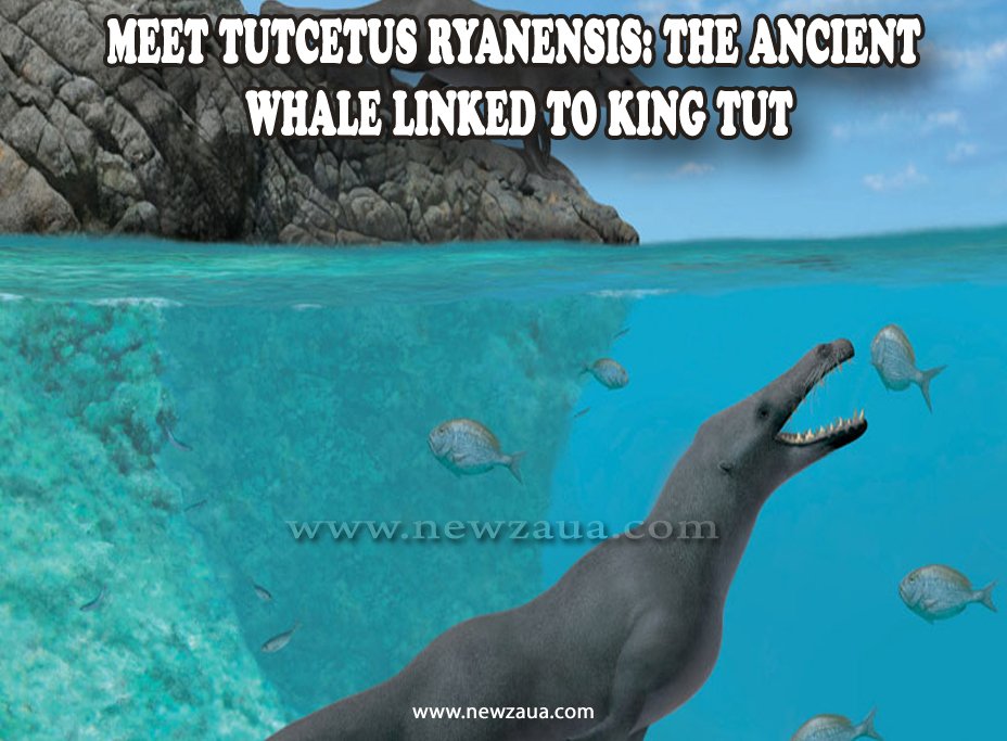 Meet Tutcetus Ryanensis: The Ancient Whale Linked to King Tut